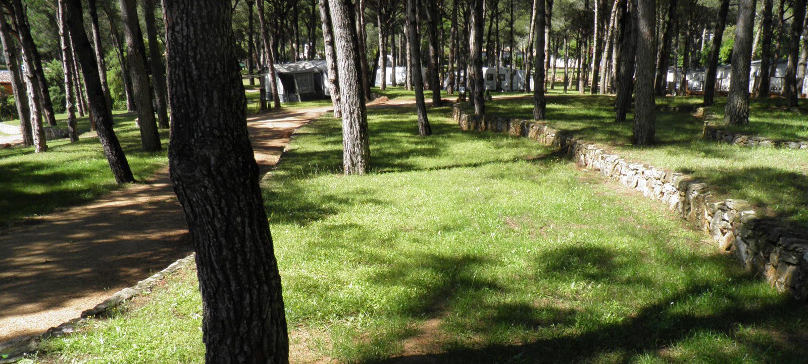 ec:parceles/parcela_acampada_1.jpg