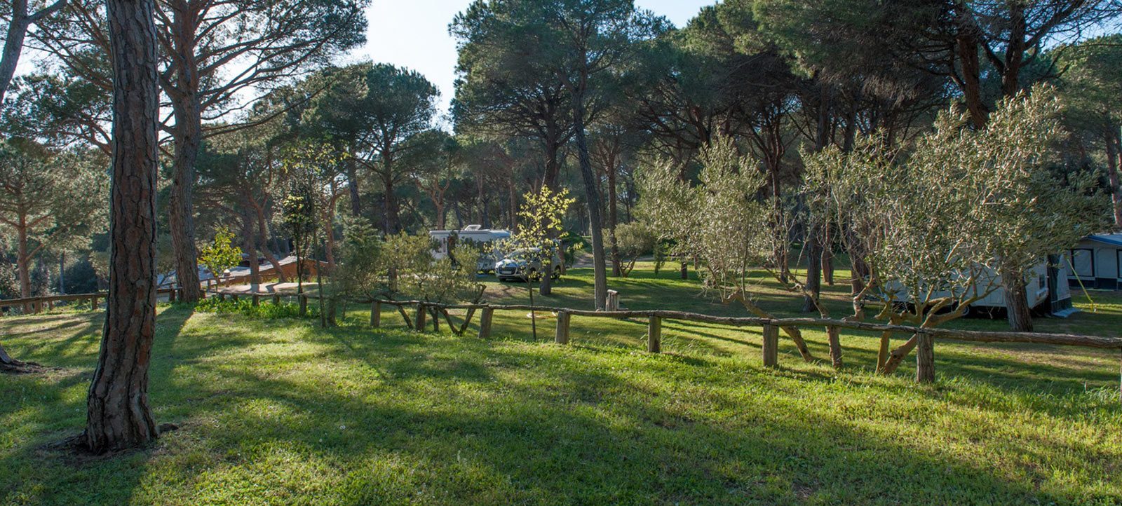 ec:parceles/parcela_comfort_2.jpg