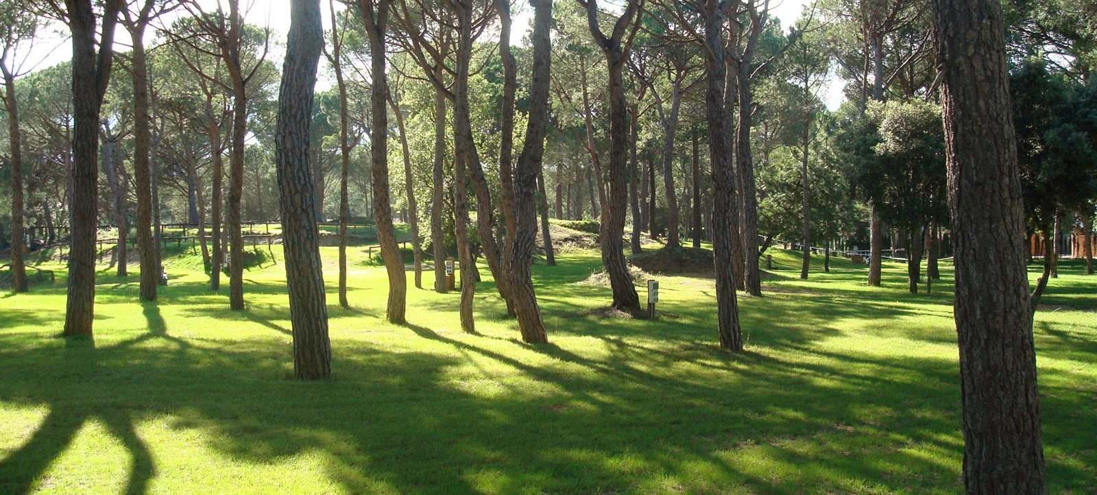 ec:parceles/parcela_grancomfort_2.jpg