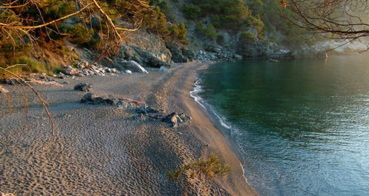 ec:entorn/platja_fonda.jpg